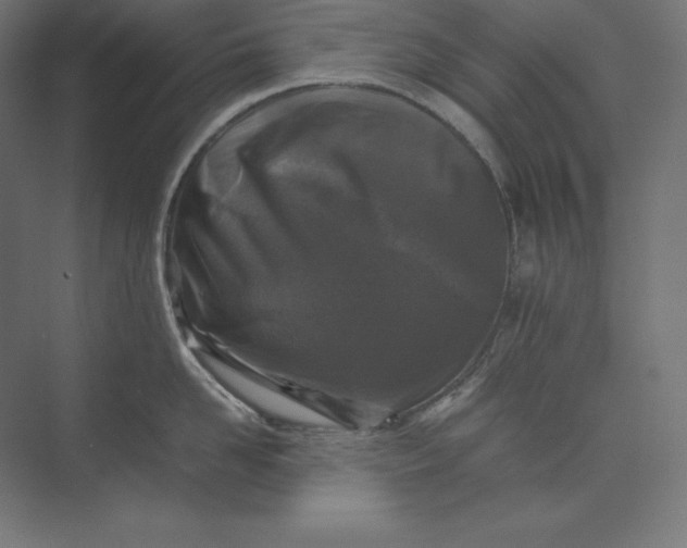 X0000074030958200609061138