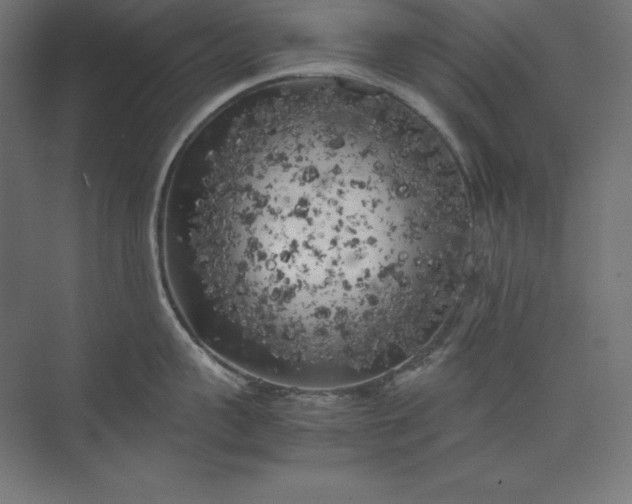 X0000074030959200609061138