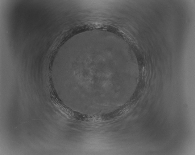 X0000074030961200609061137