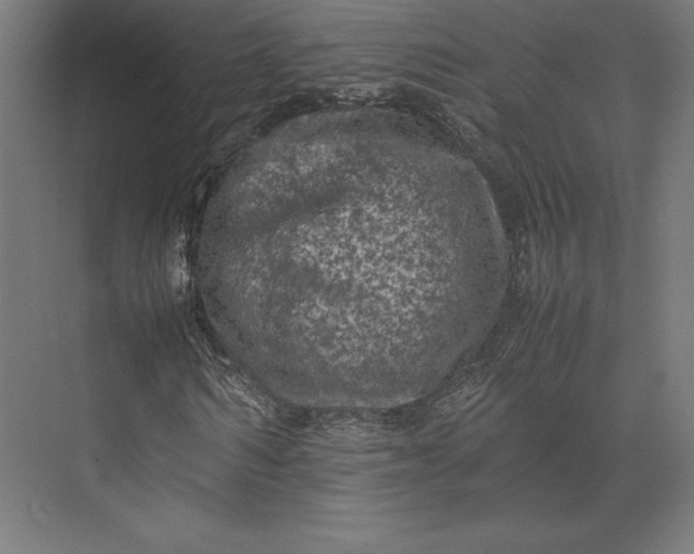 X0000074030962200609061137