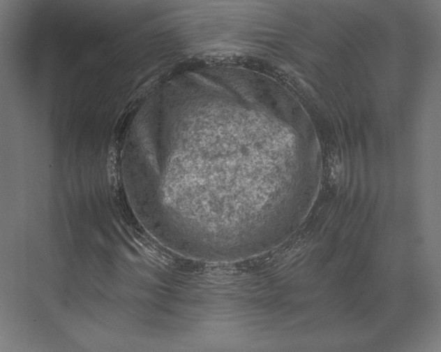 X0000074030964200609061137