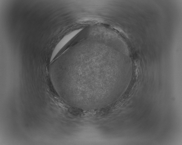 X0000074030965200609061137