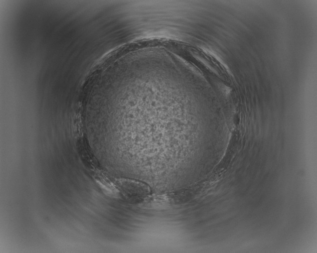 X0000074030968200609061137