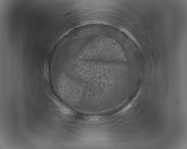 X0000074030969200609061137