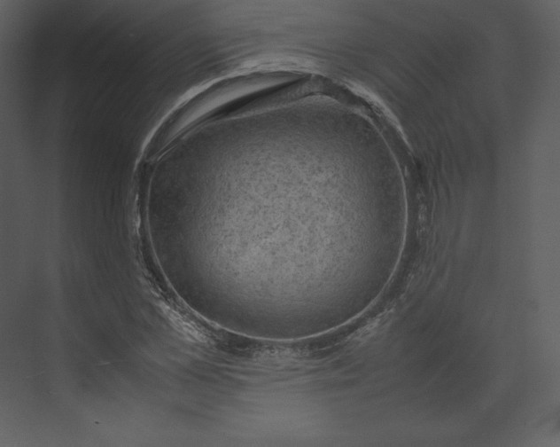 X0000074030973200609061137