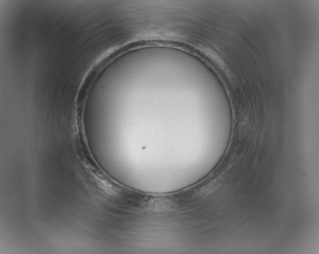 X0000074030974200609061137