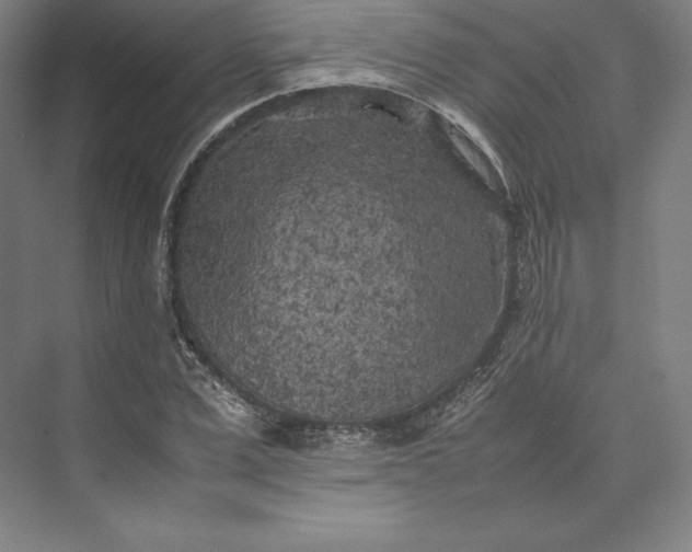 X0000074030975200609061137