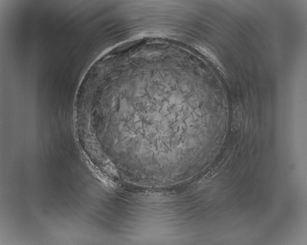 X0000074030976200609061137