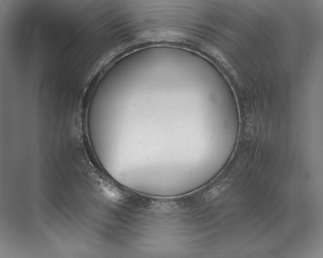 X0000074030978200609061137