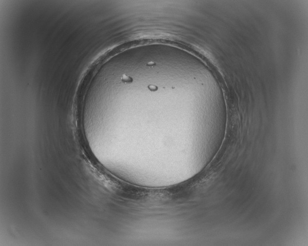 X0000074030979200609061137