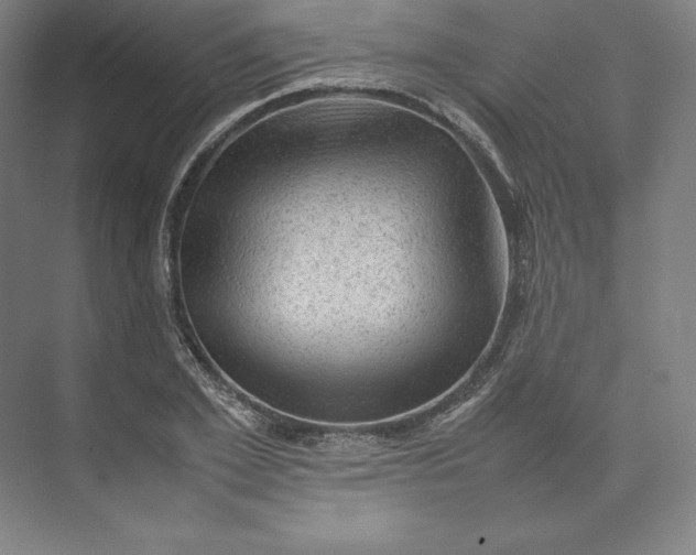 X0000074030981200609061137