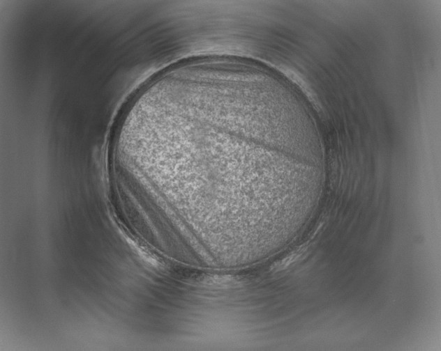 X0000074030982200609061137