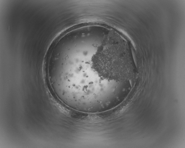 X0000074030983200609061137