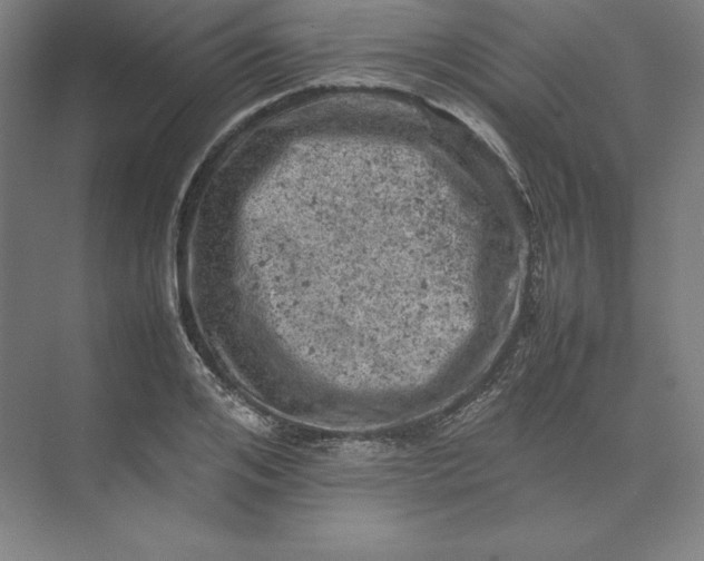 X0000074030984200609061137