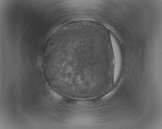 X0000074030985200609061137