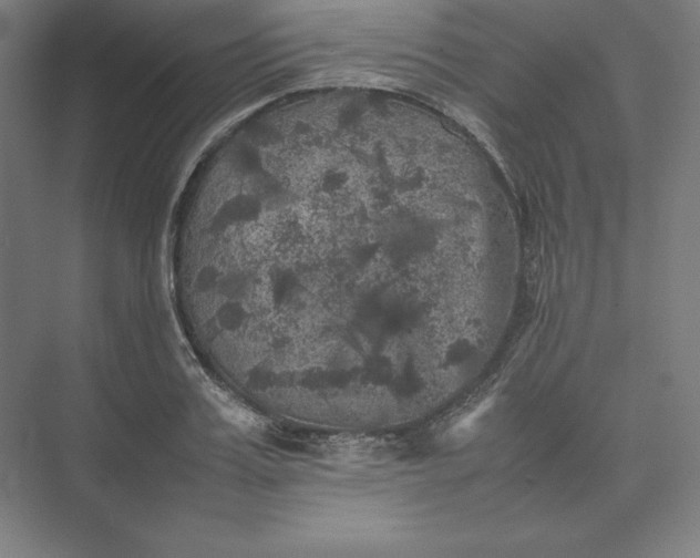 X0000074030987200609061137