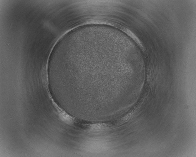 X0000074030988200609061137