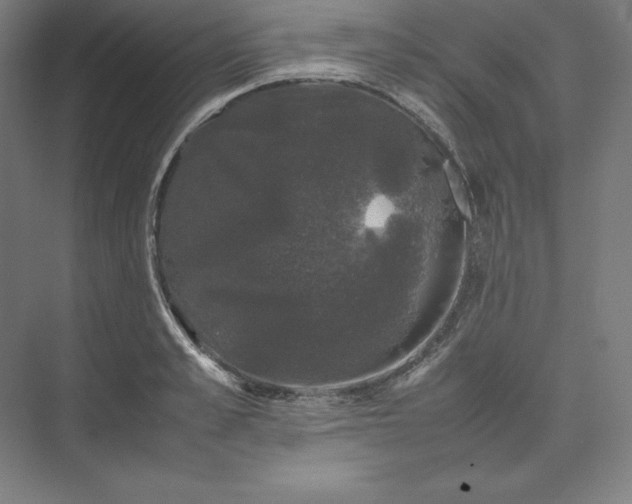 X0000074030989200609061137