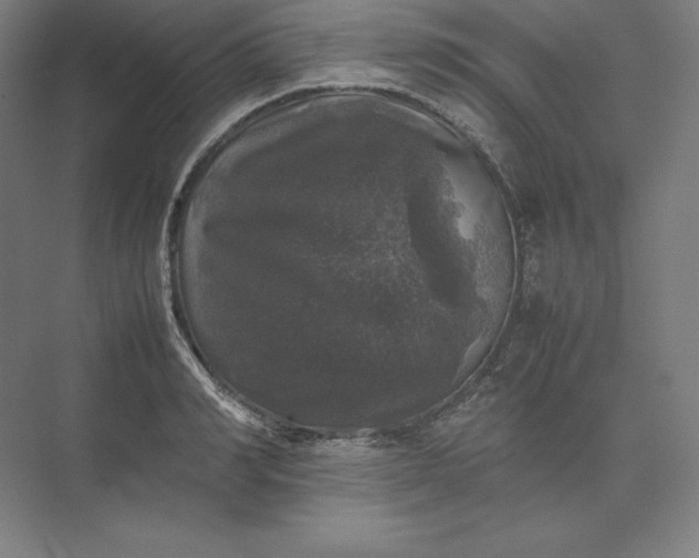 X0000074030990200609061137