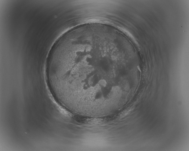 X0000074030991200609061137