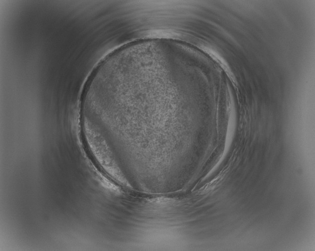 X0000074030992200609061137