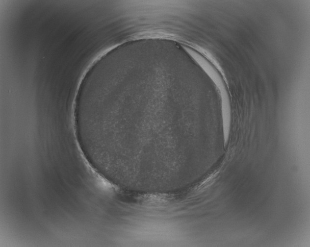 X0000074030995200609061137