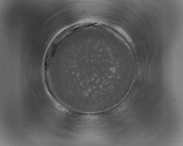 X0000074030996200609061137