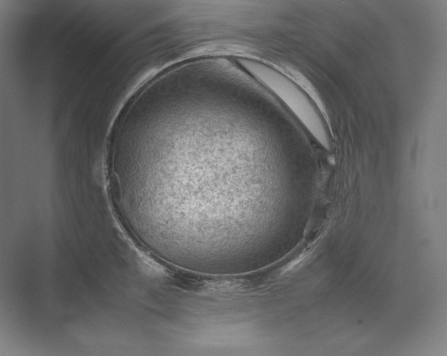 X0000074030997200609061137