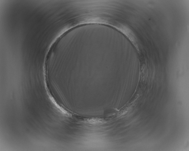 X0000074030998200609061137