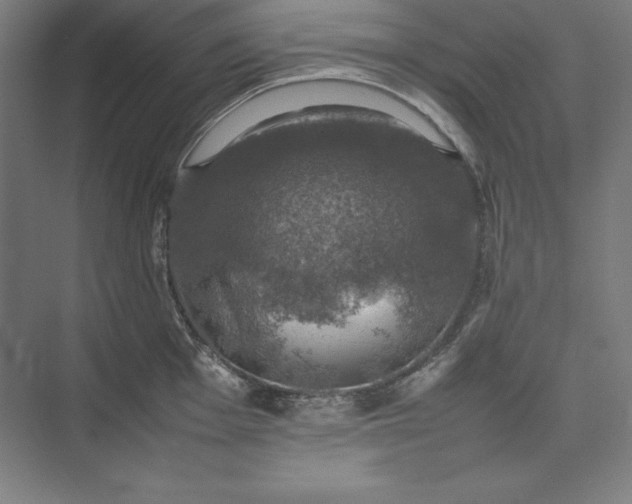 X0000074031001200609061137