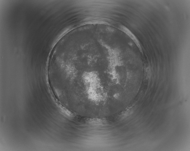 X0000074031002200609061137