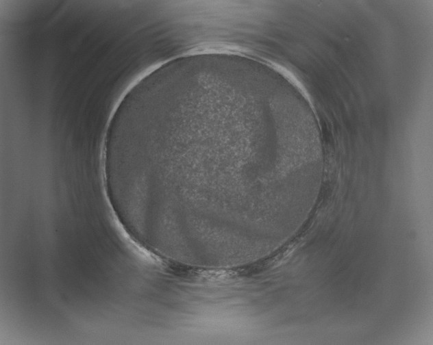 X0000074031003200609061137