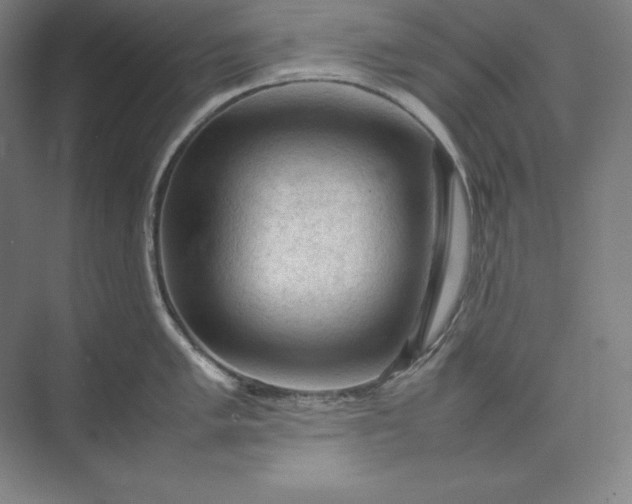 X0000074031005200609061137