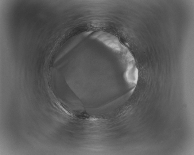 X0000074031009200609061136