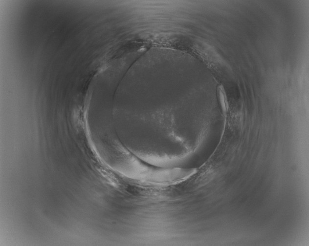 X0000074031010200609061136