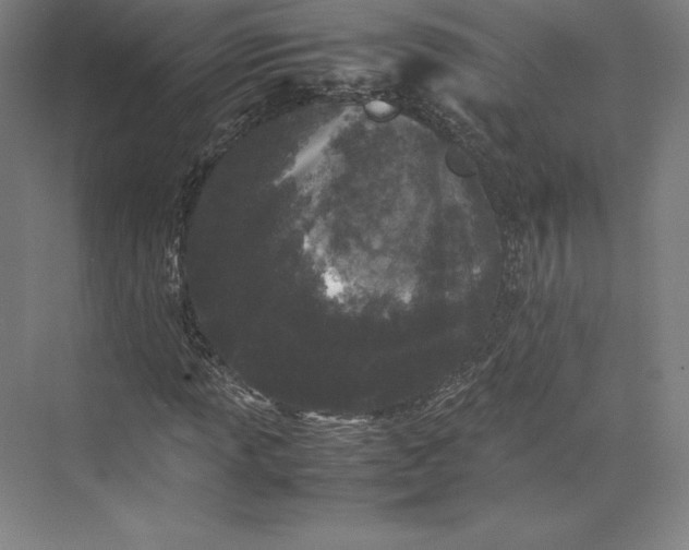 X0000074031013200609061136