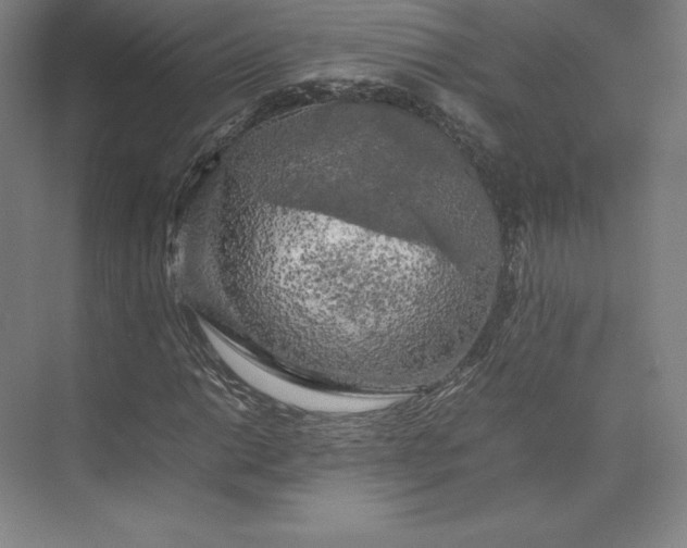 X0000074031014200609061136