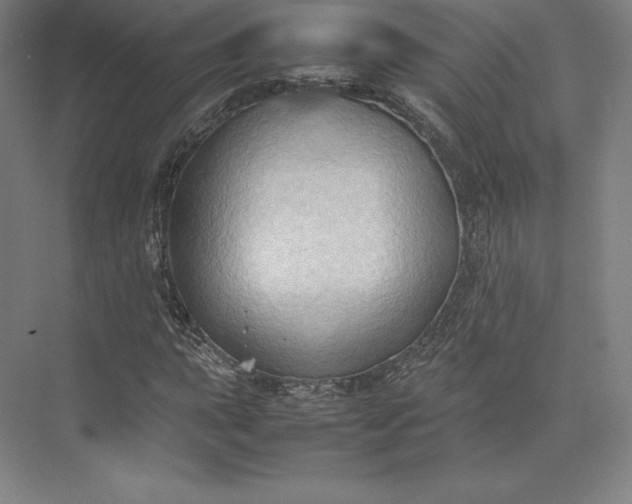 X0000074031015200609061136