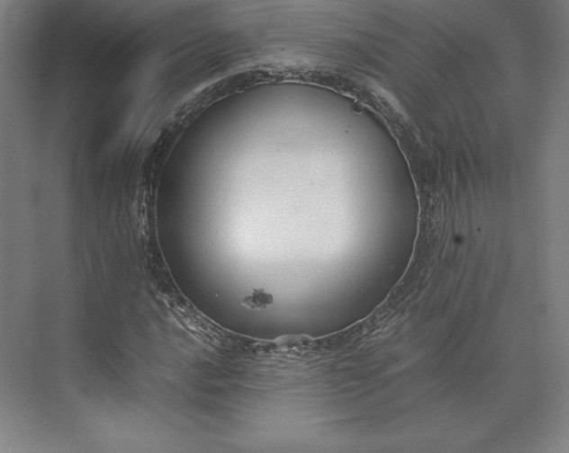 X0000074031016200609061136