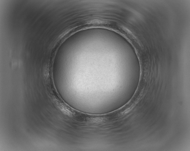 X0000074031017200609061136