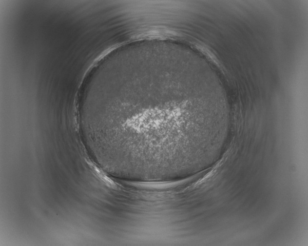 X0000074031018200609061136