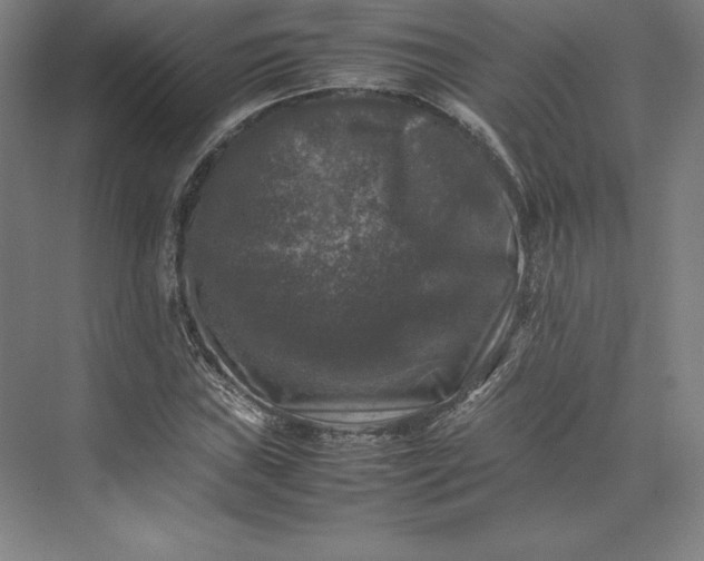 X0000074031019200609061136