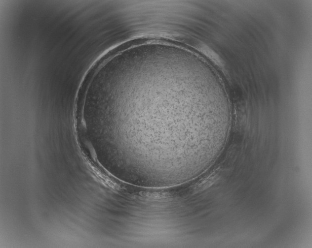 X0000074031020200609061136