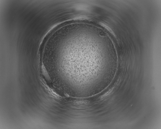 X0000074031021200609061136