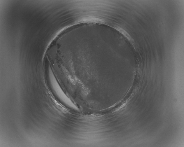 X0000074031022200609061136