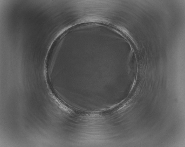 X0000074031024200609061136