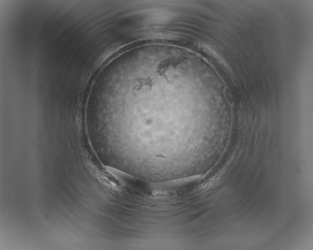 X0000074031025200609061136