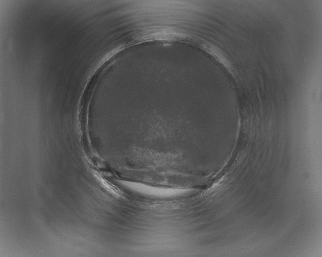 X0000074031026200609061136