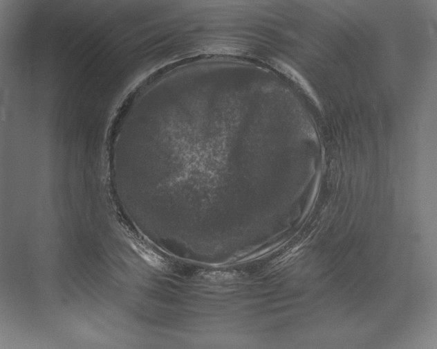 X0000074031027200609061136