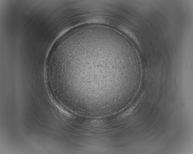 X0000074031029200609061136